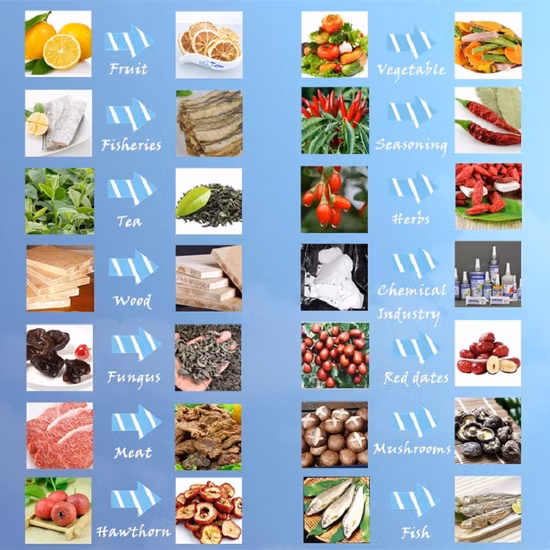 Industrial Automatic Microwave Vacuum Freeze Low Temperature Vacuum Dryer