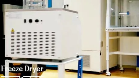 Biobase China Lab Pilot Vacuum Freeze Dryer Lyophilizer Equipment Manufacturer