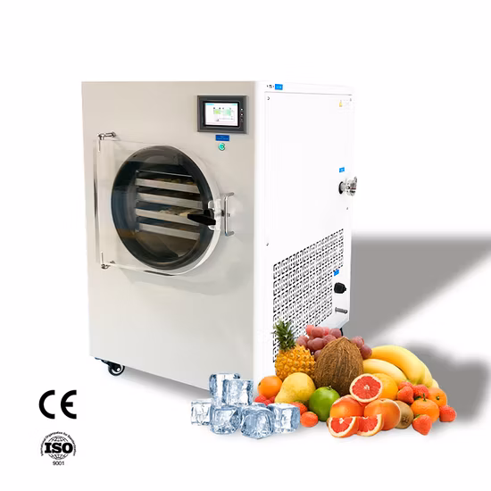 a Freeze Dryer Dehydrator Vacuum Freeze Dry Oven