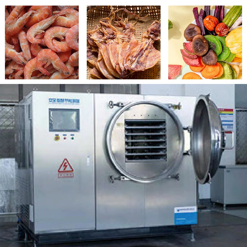 Industrial Vacuum Vegetable Hypothermia Papaya Freeze Dryer