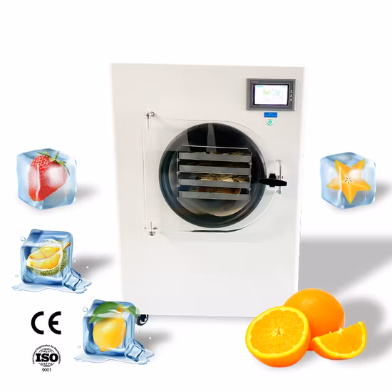 a Freeze Dryer Dehydrator Vacuum Freeze Dry Oven