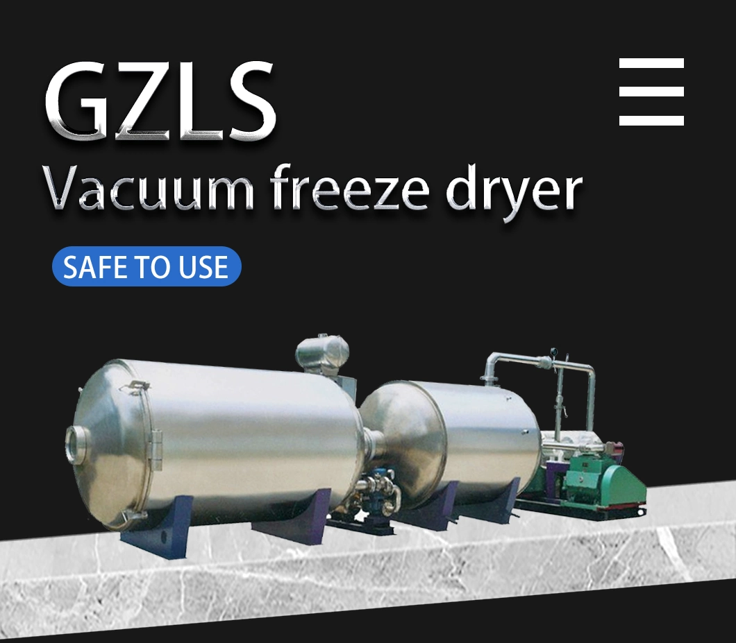 Stainless Steel Vacuum Freeze Dryer/Drying Machine Vegetables Lyophilizer for Small Food Processing Industry