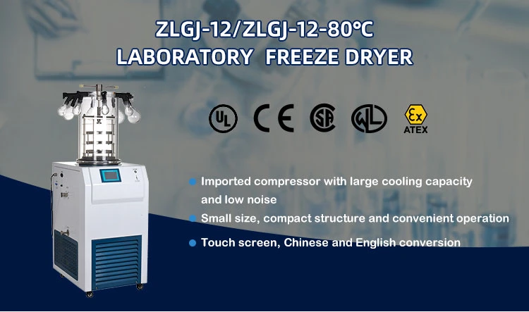 Laboratory The Pilot-Scale Vacuum Benchtop Small Freeze Mini Dryer for Freezing, Pharmaceutical