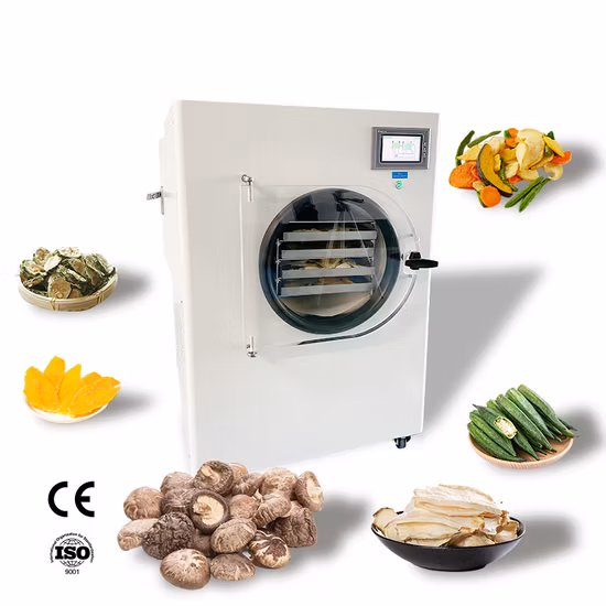 a Freeze Dryer Dehydrator Vacuum Freeze Dry Oven