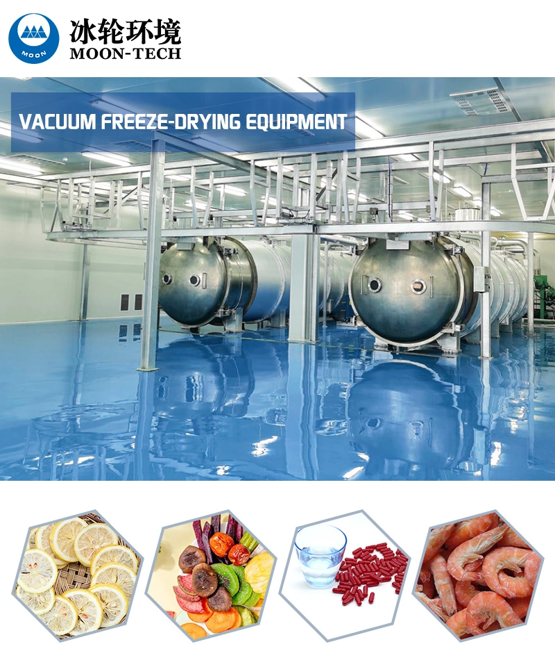 Freeze Dryer for Vegetable, Fruit or Meat, Vacuum Freeze Dryer, Freezing Dryer Equipment