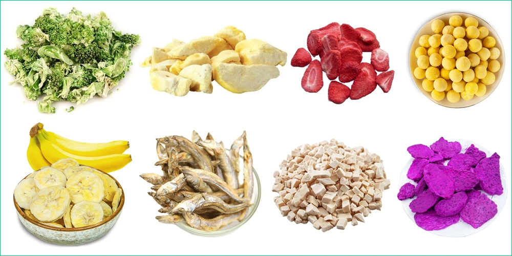 Placenta Powder Fruit Vacuum Food Freezing Dryers Lyophilizers Price Industrial Freeze Dryer