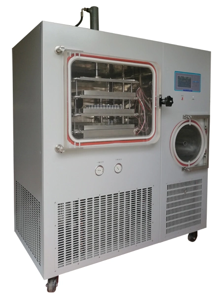 Pilot Automatic Vacuum Freeze Dryer for Food and Medicine 10kg/24h