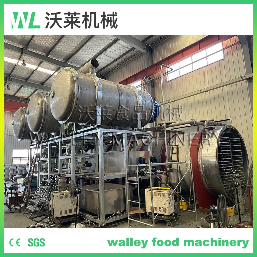 2000kg Large Capacity Vacuum Freeze Dryer for Lemon Tea Industrial Lyophilizer