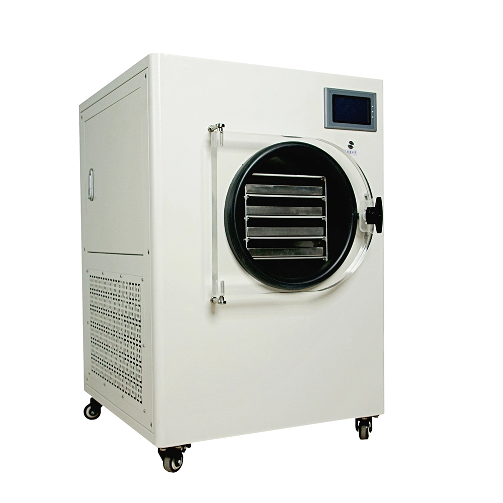 Lab Small Low Temperature Vacuum Bench Top Freeze Dryer