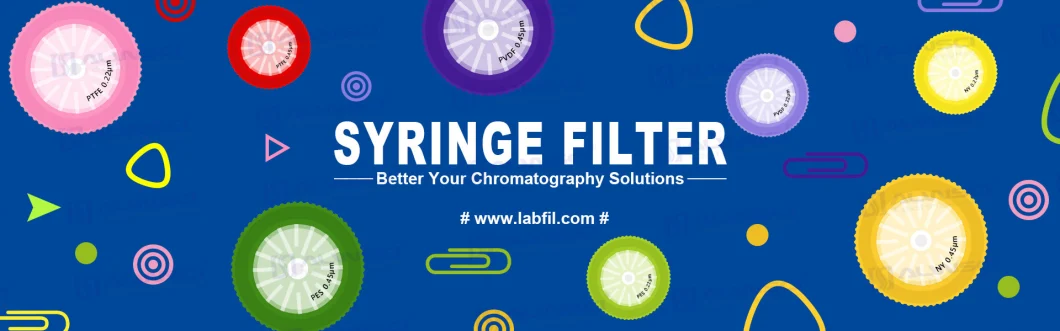 Labfil 25mm Nylon HPLC Syringe Filter 0.22um Color Ring Economy Type