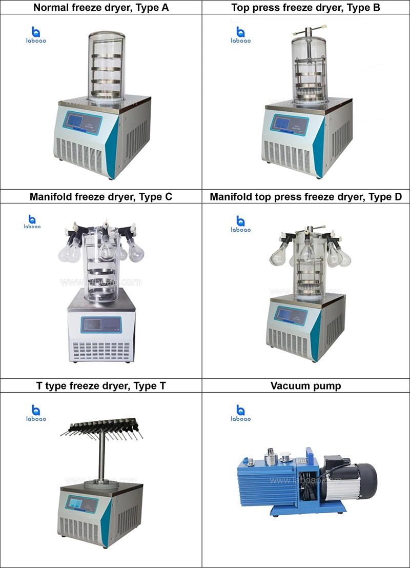 Mini Benchtop Freeze Dryer Equipment Price with Vacuum Pump