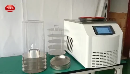 CE Mini Bench-Top Lab Use Freeze Dryer Venom Vacuum Lyophilizer Small Home Kiwifruit Royal Jelly Lyophilization Machine Fruit Vegetable Freeze Drying Equipment