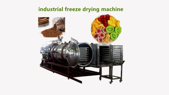 Industrial Lyophilization Machine Vacuum Freeze Dryer