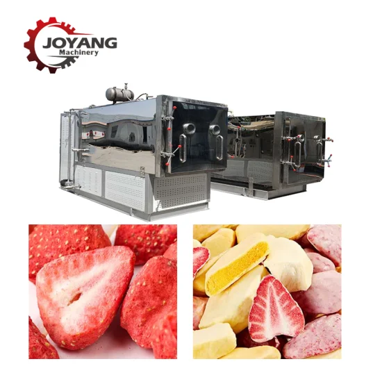 Industrial Fruits Chips Frozen Drying Machine Vegetables Cheese Meat Chicken Vacuum Freeze Dryer