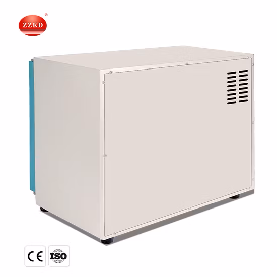High Temperature Vacuum Drying Oven with Vacuum Pump